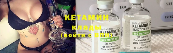 хмурый Пересвет